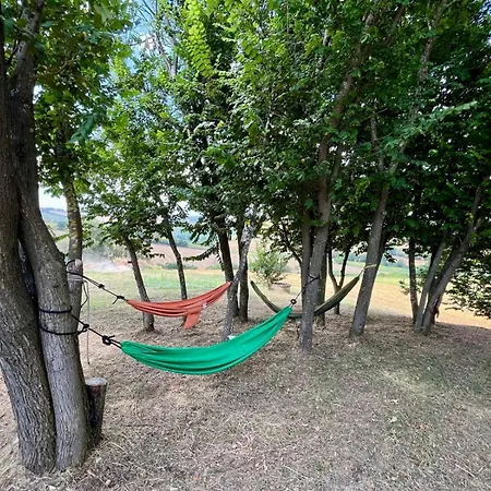 La Sperduta - Maczoni Estate